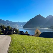 IMG 7684