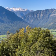 IMG 7693