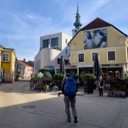 IMG 7724