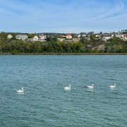 IMG 7730
