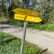 IMG 7749