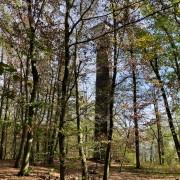 IMG 7758