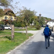 IMG 7763