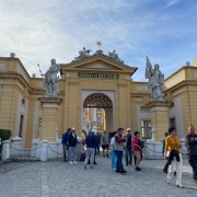 IMG 7781
