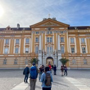 IMG 7782