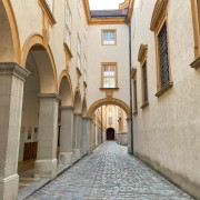 IMG 7788