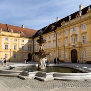 IMG 7792