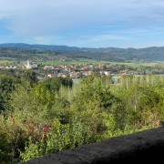 IMG 7801