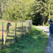 IMG 7848