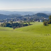 IMG 7905