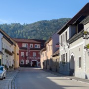 IMG 7995