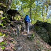 IMG 8159