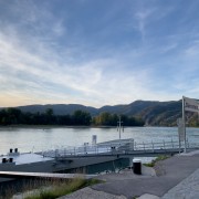 IMG 8231