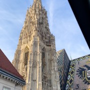 IMG 8338