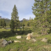 IMG 3781
