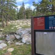 IMG 3787