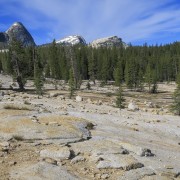 IMG 3805