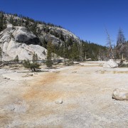 IMG 3823