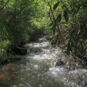 IMG 4092