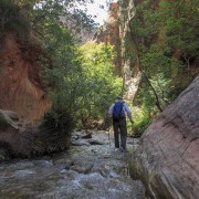 IMG 4094