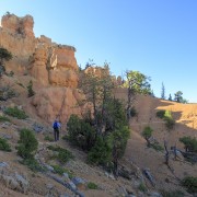IMG 4218