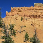 IMG 4247