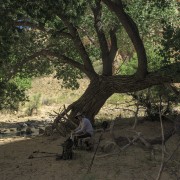 IMG 4281