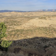 IMG 4321
