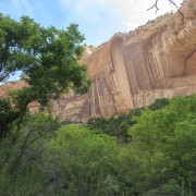 IMG 4357