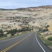 IMG 4416
