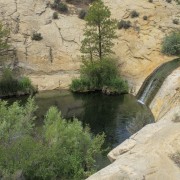 IMG 4444