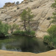 IMG 4450
