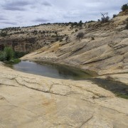 IMG 4453