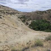 IMG 4459