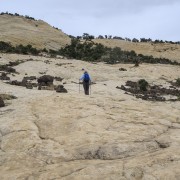 IMG 4462