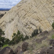 IMG 4464