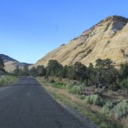 IMG 4479