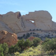 IMG 4491