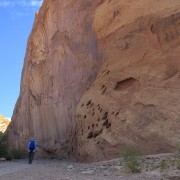 IMG 4499