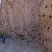 IMG 4500
