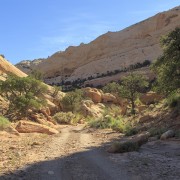 IMG 4505
