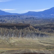 IMG 4537