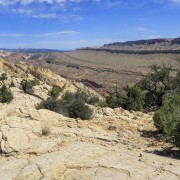 IMG 4548