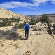 IMG 4549