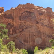 IMG 4562