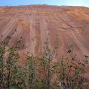 IMG 4564