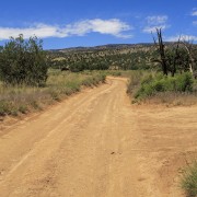 IMG 4567