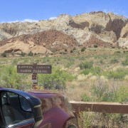IMG 4577
