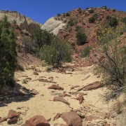 IMG 4581