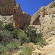 IMG 4584